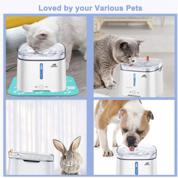 CAMROOP 68 OZ Automatic Electric Pet Water Fountain Wayfair